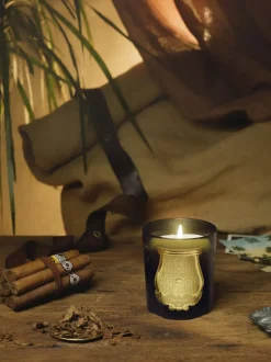 Vela perfumada artesanal Gabriel (madera de cachemira, musgo)