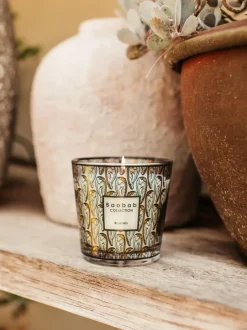 Vela perfumada My First Baobab Brussels (cedro, sándalo y miel)
