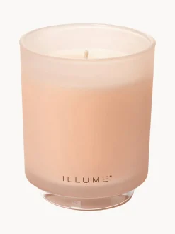 Vela perfumada Refill (coco, mango & vainilla de Tahití)
