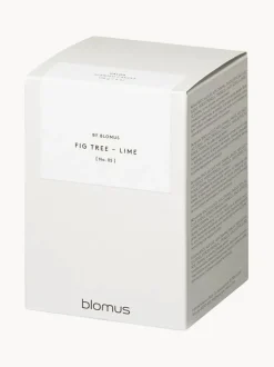 Vela perfumada Valoa (madera de cedro, higuera y lima)