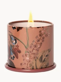 Vela perfumada Vanity Tin (almizcle de cachemira, hoja de tabaco y naranja)